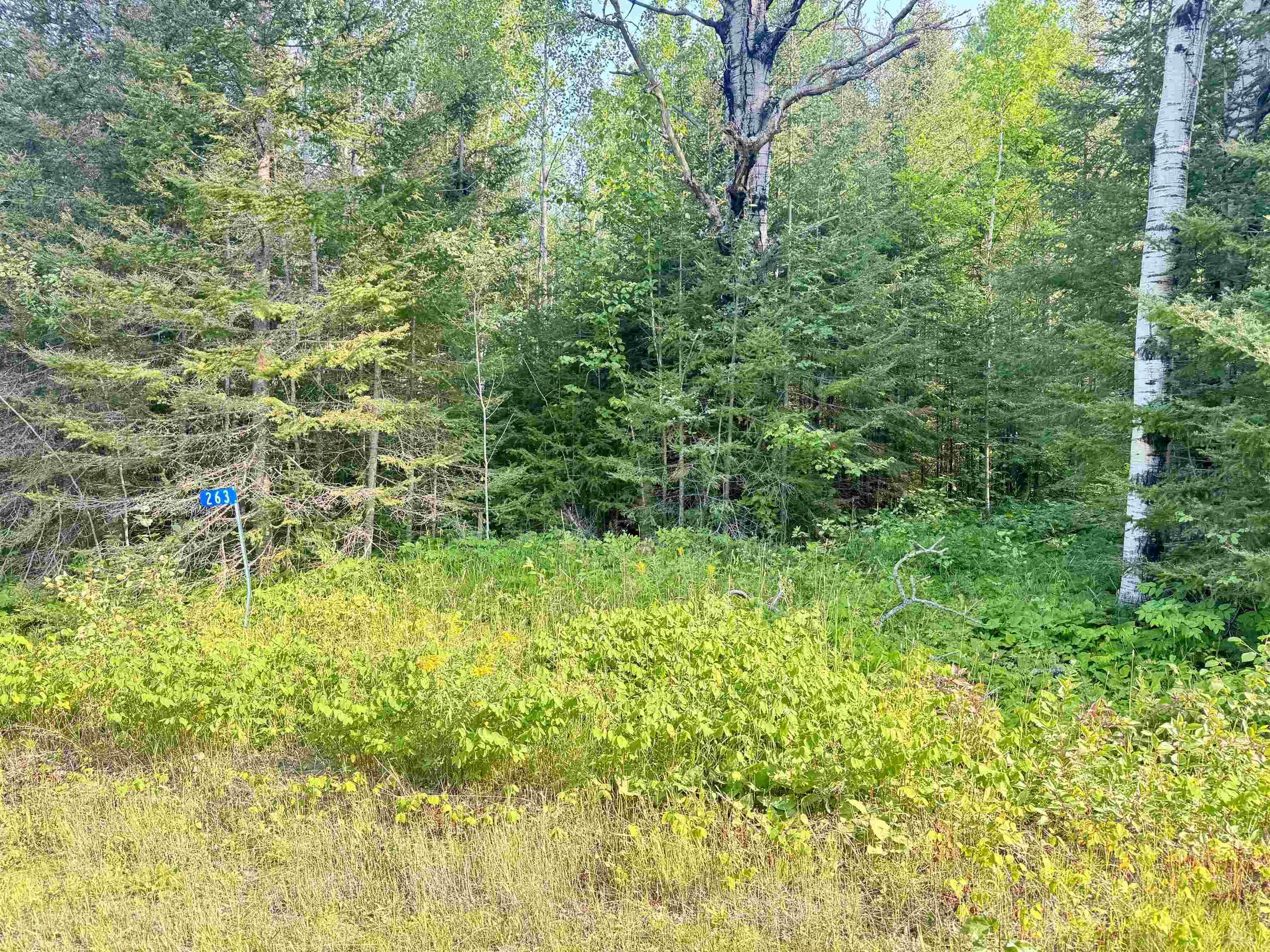 263 Cloud River Road E, Neebing, ON
