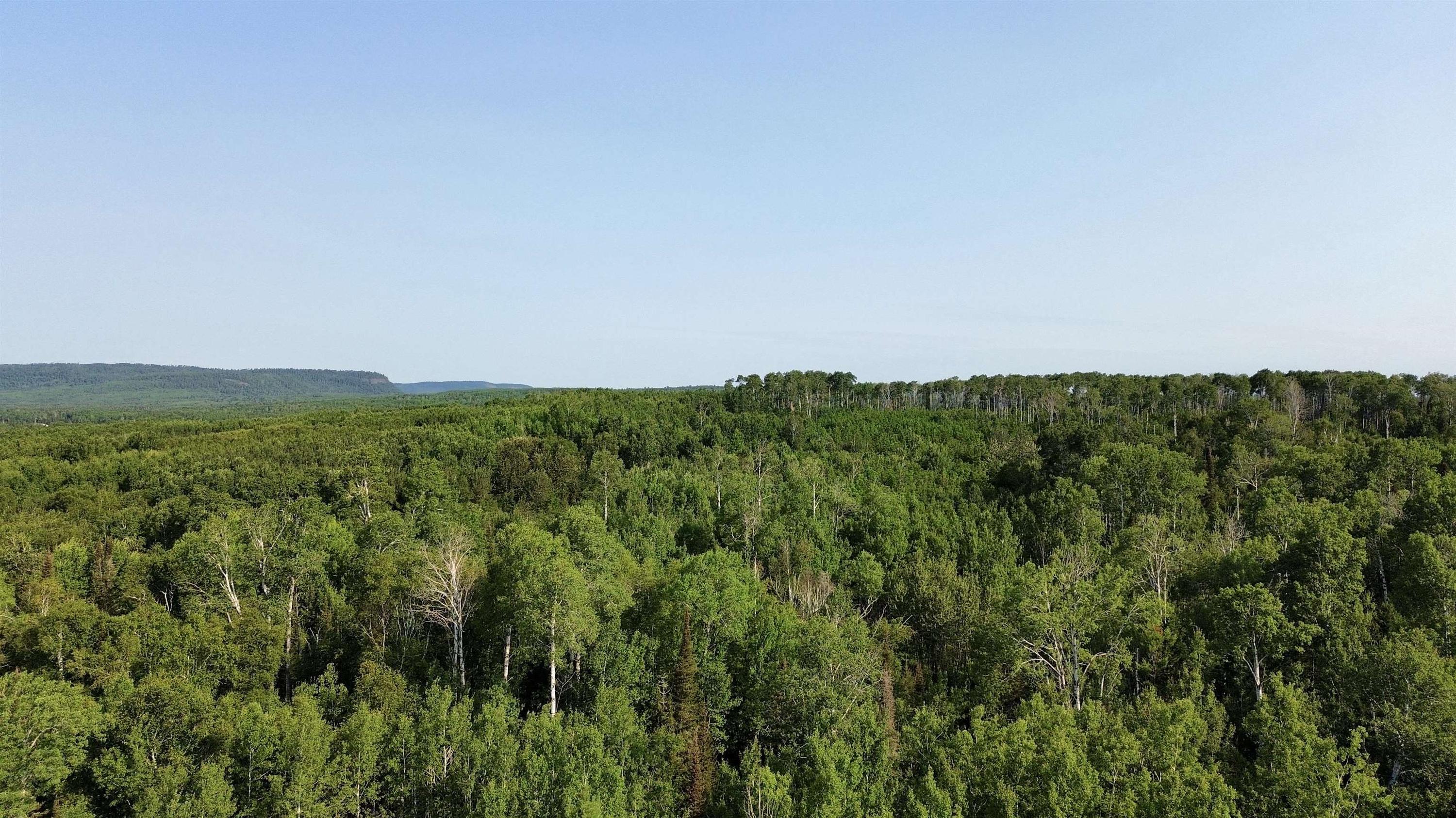 263 Cloud River Road E, Neebing, ON