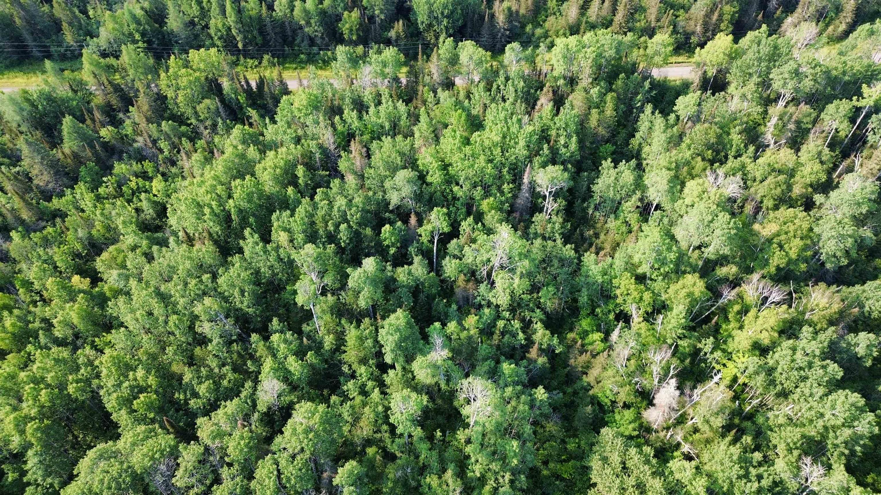 263 Cloud River Road E, Neebing, ON