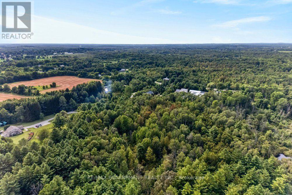 Treed back lot - 110 Concession 11 Road E, Hamilton, ON - Outdoor With View