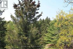 View from deck - 