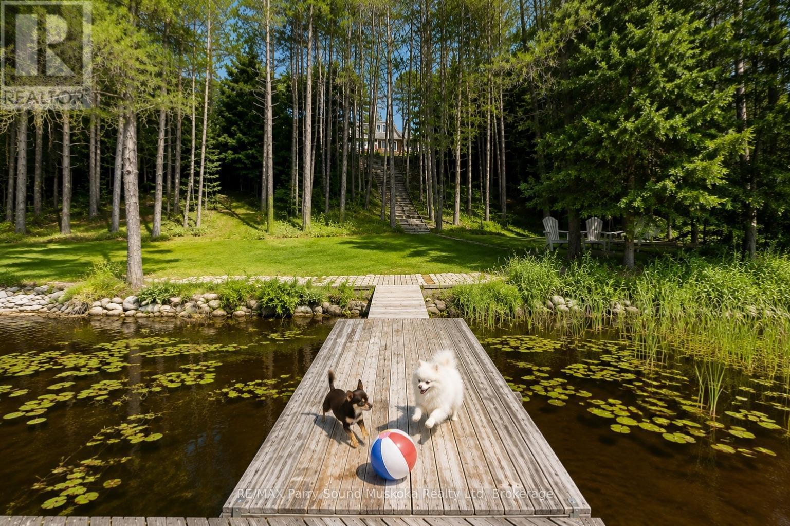 587 Centre Road, Mckellar, ON - Outdoor With View