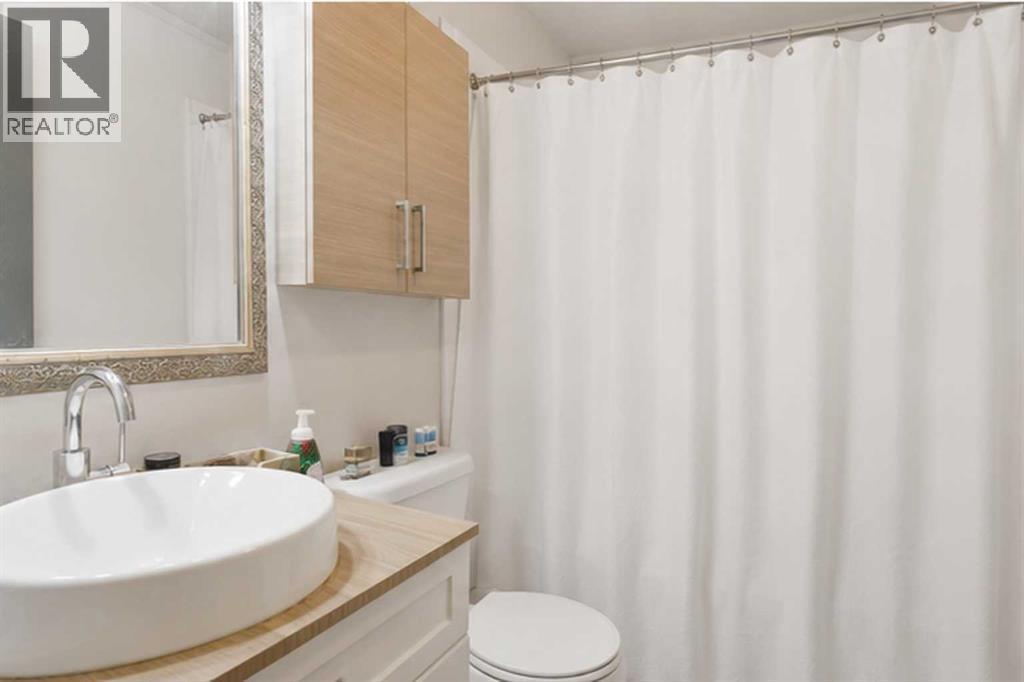 4227 49 Street Ne, Calgary, AB - Indoor Photo Showing Bathroom
