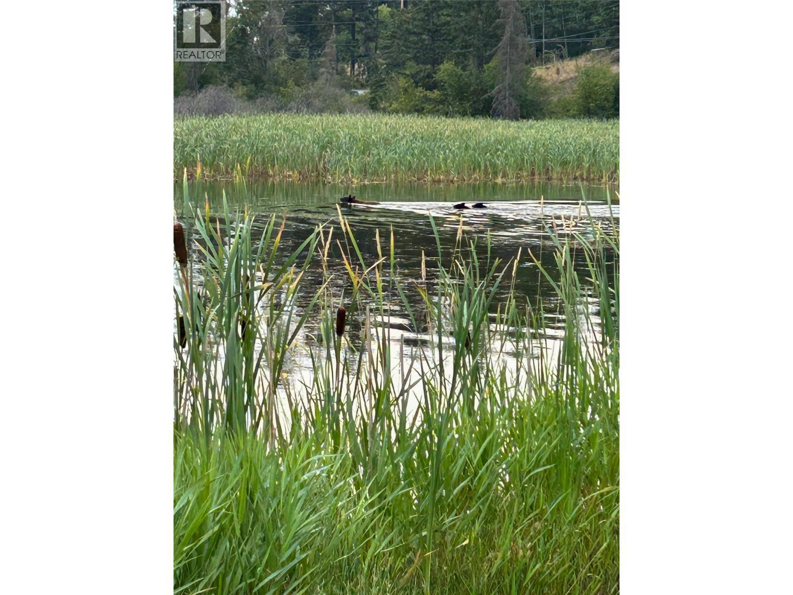 9498 Westside Road, Invermere, BC -
