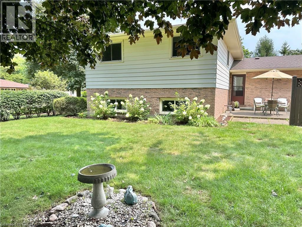 Back of the House - 44 Douglas Avenue, Simcoe, ON - Outdoor