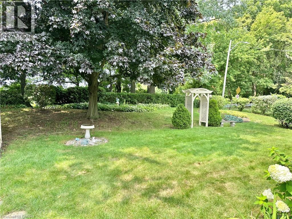 Expansive lawn featuring mature trees, manicured shrubs, and a decorative garden arbor - 44 Douglas Avenue, Simcoe, ON - Outdoor