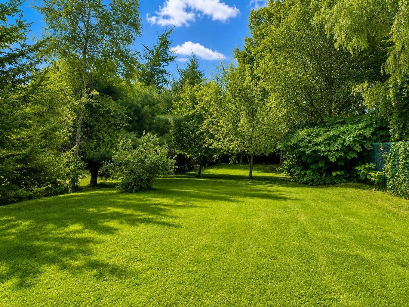 20 Agnew Street, Amherst, NS - Outdoor