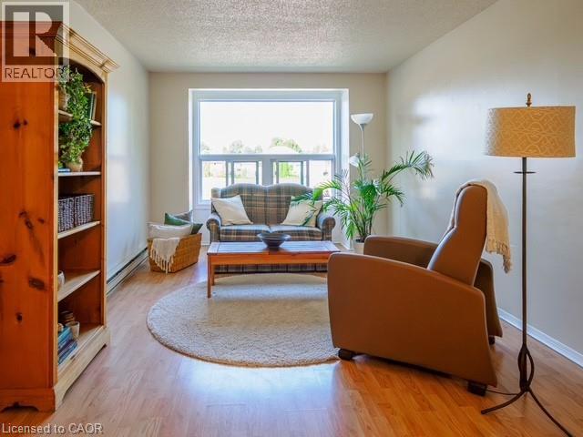 Bright natural light - 60 Donly Drive S Unit# 206, Simcoe, ON - Indoor Photo Showing Living Room