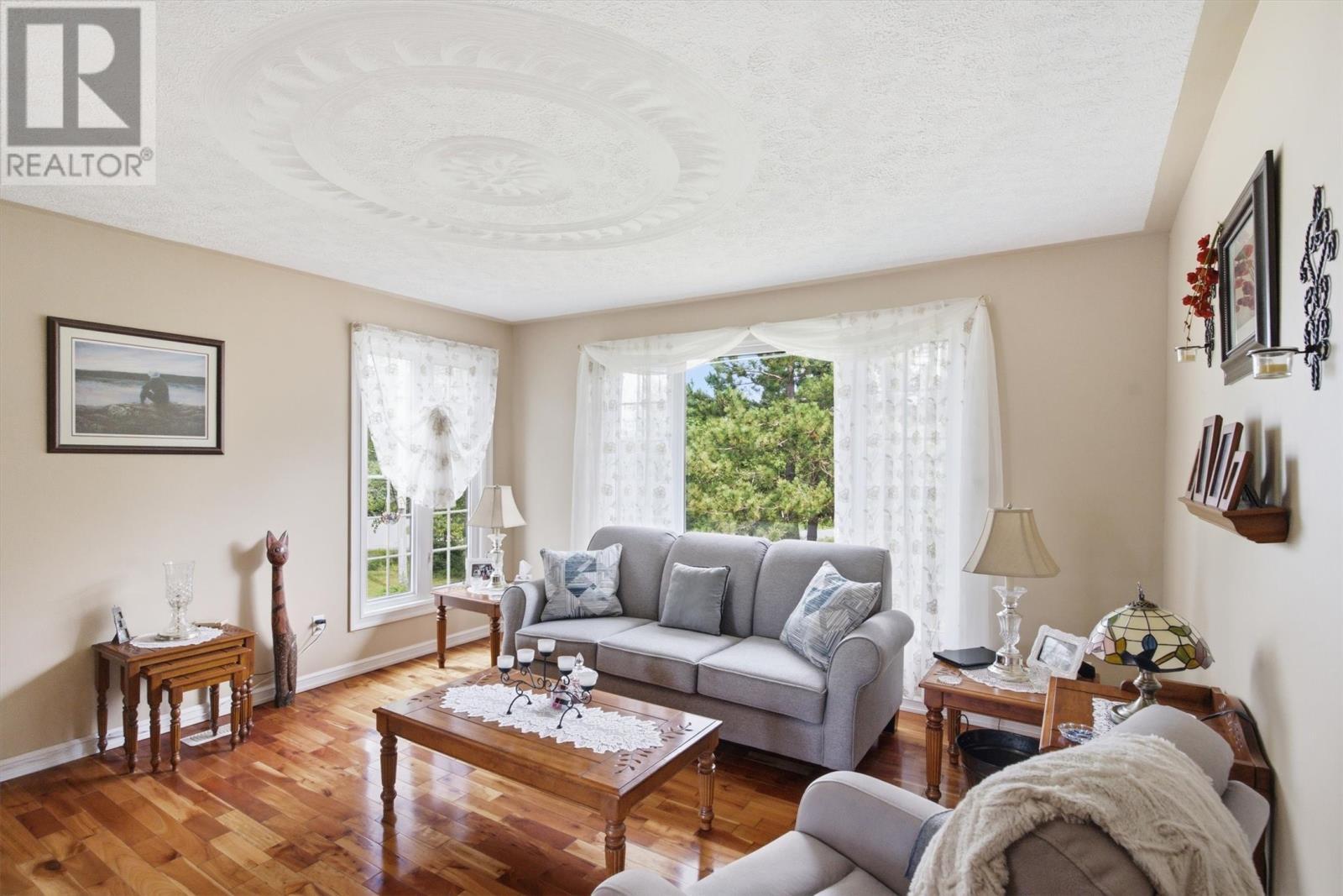 2 Juniper Crescent, Traytown, NL - Indoor Photo Showing Living Room