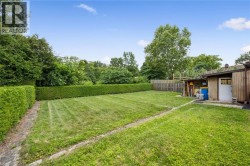 Expansive green lawn with established hedge borders and a functional storage shed - 