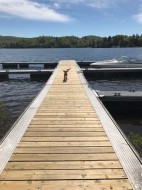 Bord de l'eau - 