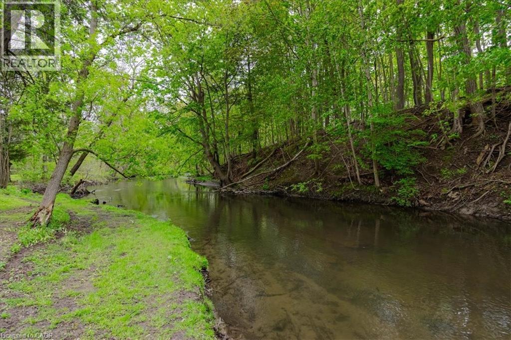 Natural waterfront setting with abundant mature trees and a gently flowing river - 111 Decou Road, Simcoe, ON - Outdoor