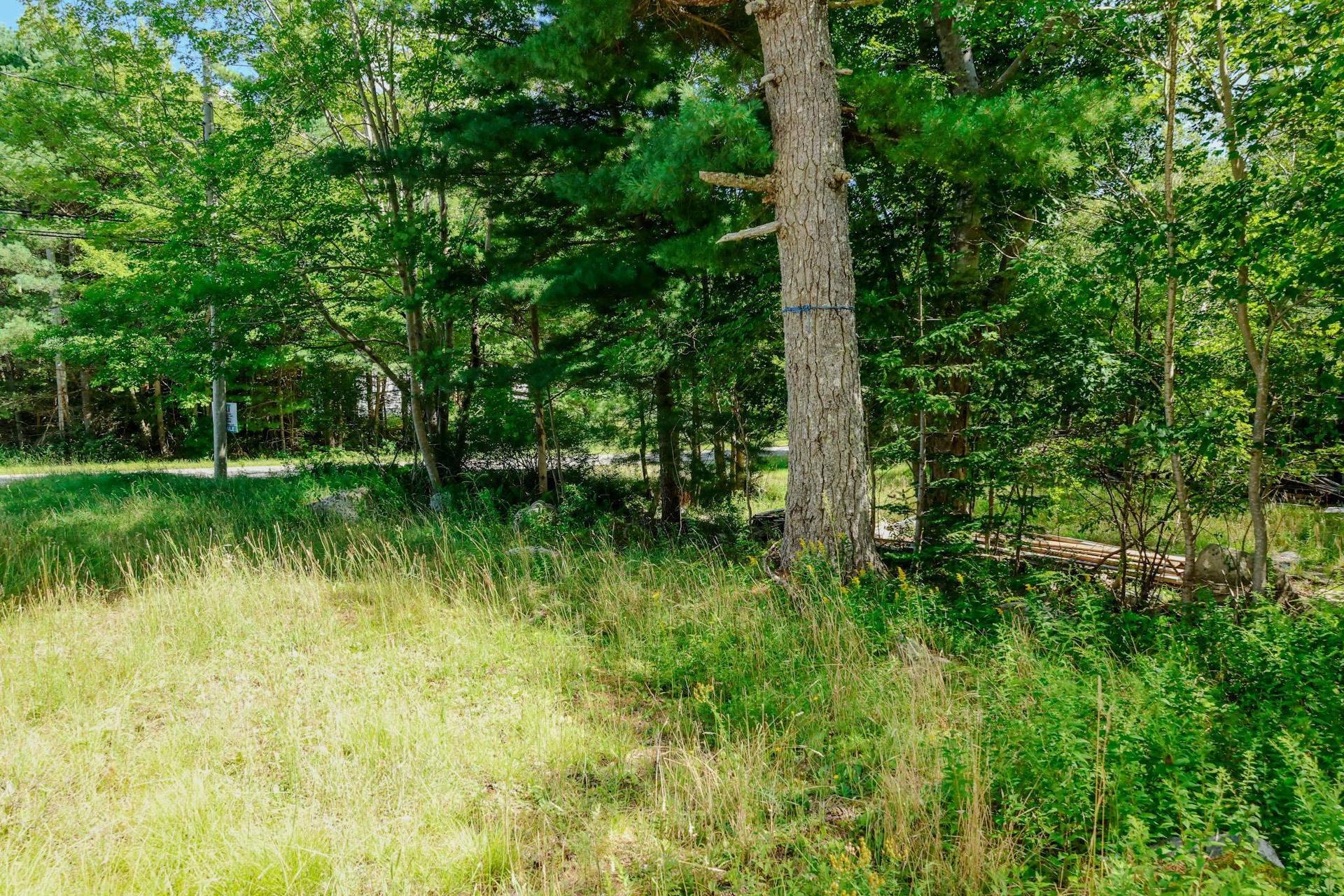 75 Annapolis Road, Shelburne, NS
