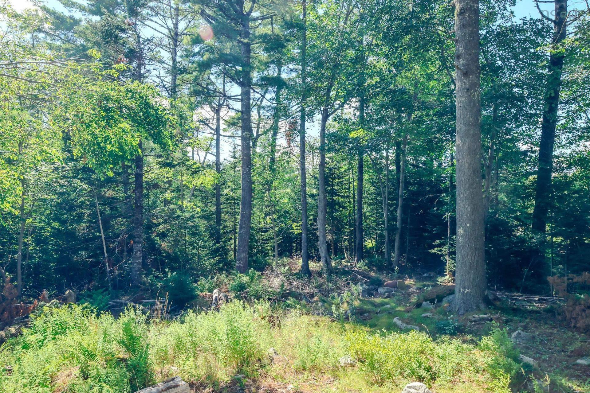 75 Annapolis Road, Shelburne, NS