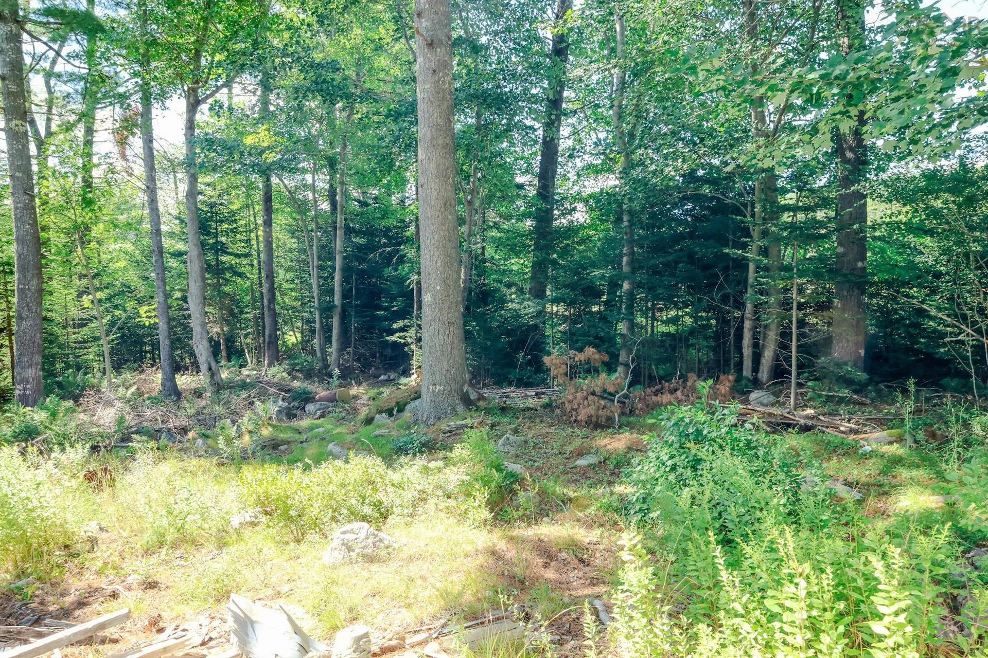 75 Annapolis Road, Shelburne, NS