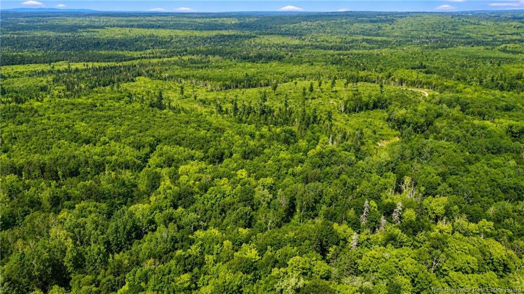 Lot & Camp Forest Motor Rd, Sormany, NB