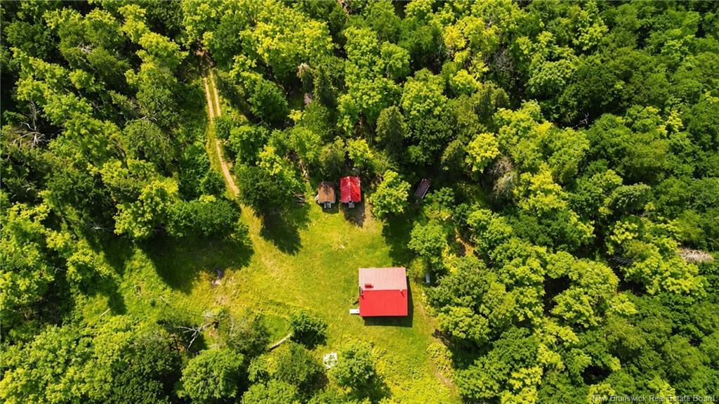 Lot & Camp Forest Motor Rd, Sormany, NB