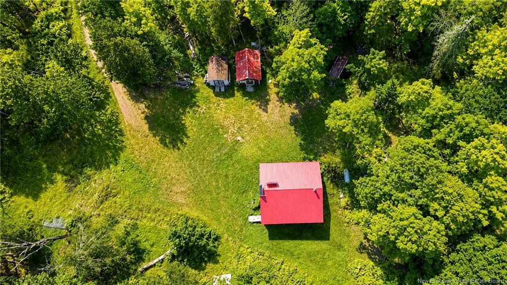 Lot & Camp Forest Motor Rd, Sormany, NB