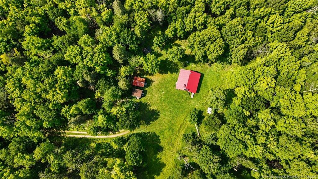 Lot & Camp Forest Motor Rd, Sormany, NB
