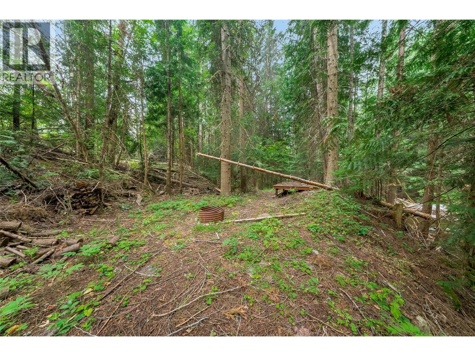 314 Webster Road, Fruitvale, BC - Outdoor
