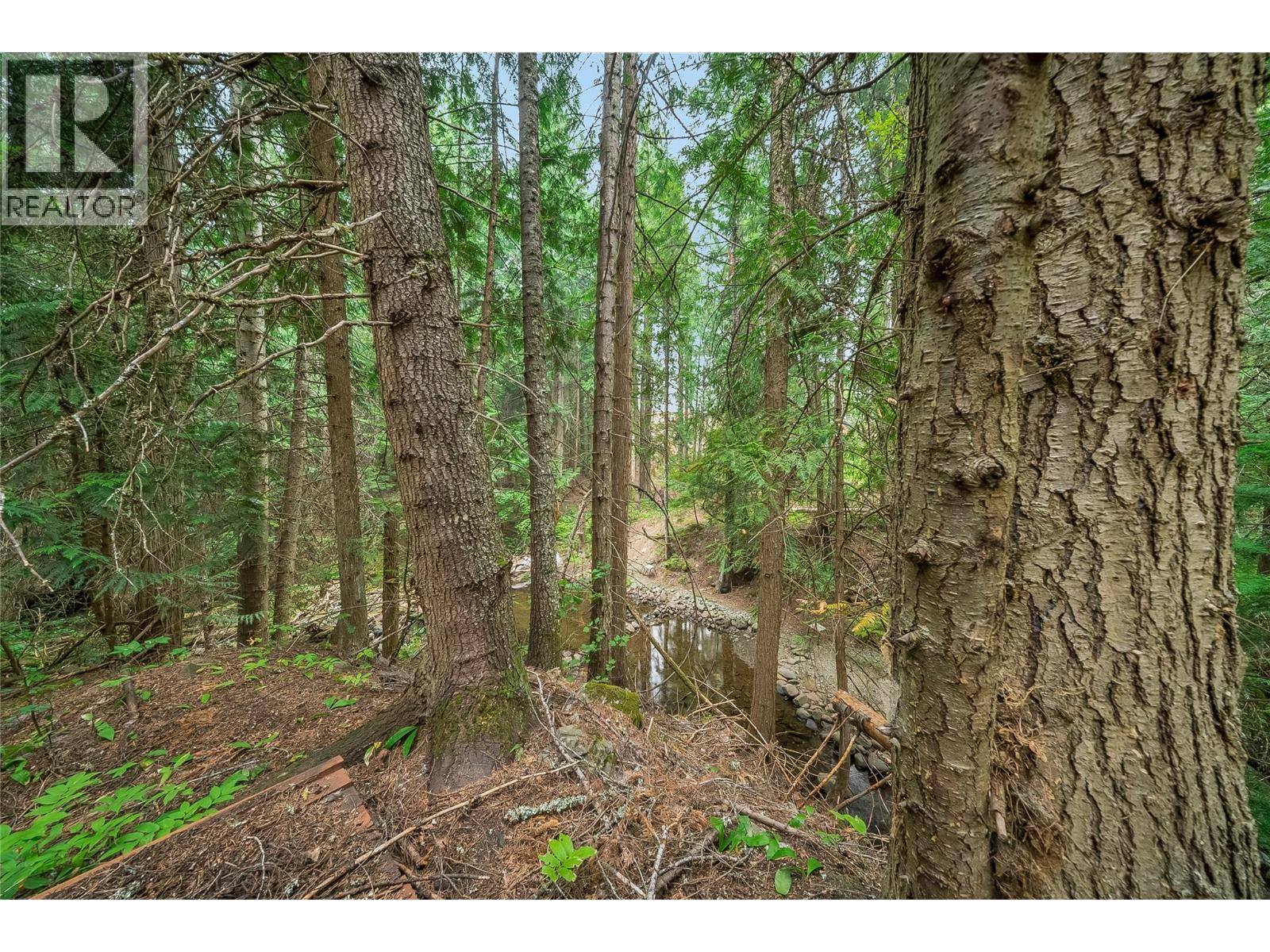 314 Webster Road, Fruitvale, BC - Outdoor With View