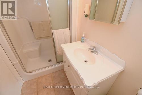 36 Abbington Drive, Hamilton, ON - Indoor Photo Showing Bathroom