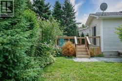 Backyard - 