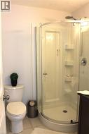 Curved glass shower enclosure with integrated shelving and a chrome showerhead -