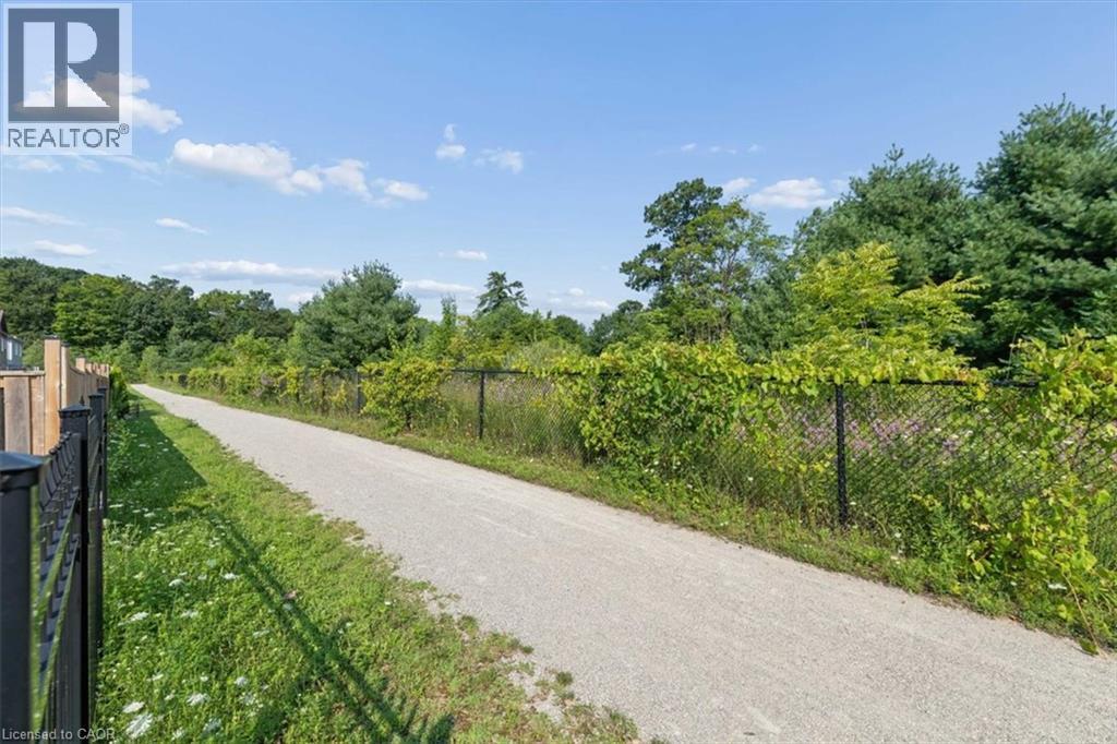 Paved pathway bordered by mature trees and lush green vegetation - 242 Moorlands Crescent, Kitchener, ON - Outdoor