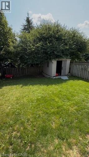 Spacious backyard featuring a manicured lawn, established perimeter trees, and a functional storage shed - 509 Southridge Drive, Hamilton, ON - Outdoor With Backyard
