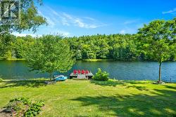 Right on Seguin River - 