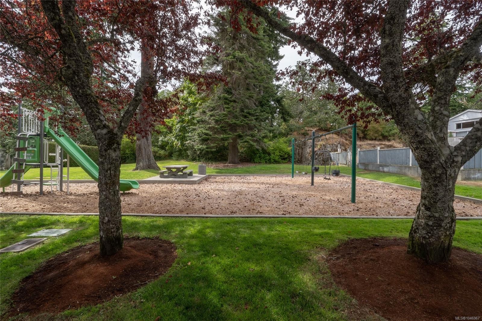 253/255 Heddle Ave, View Royal, BC - Outdoor With Backyard