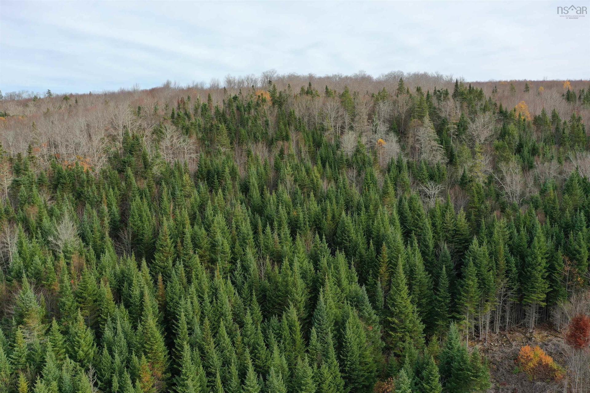 Lot 114 Acres+- Macmillan Road, Willowdale, NS