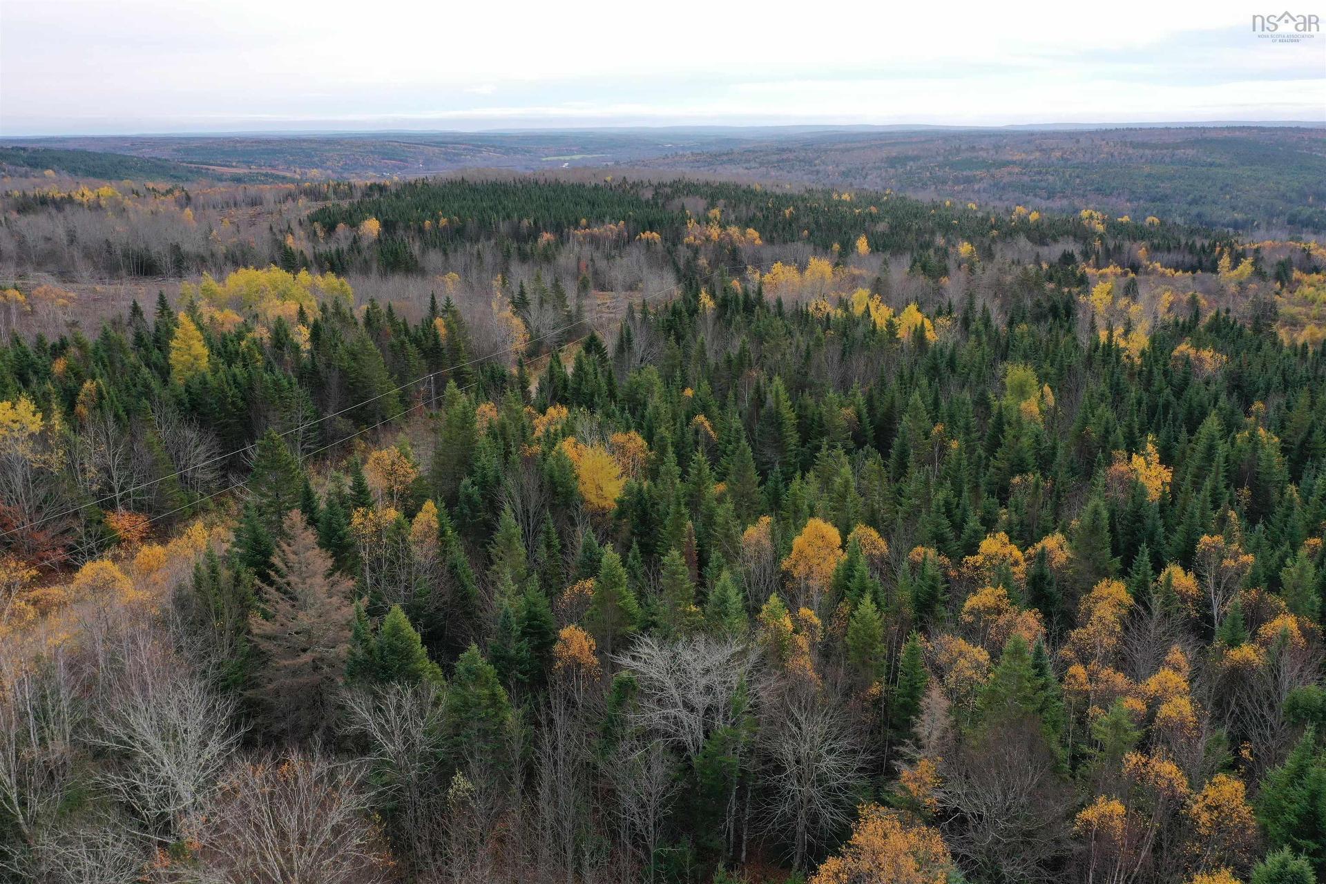Lot 114 Acres+- Macmillan Road, Willowdale, NS