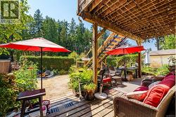 Backyard -