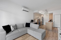 Salon - 