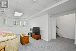 Lower Level Rec Room - 