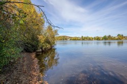 Bord de l'eau - 