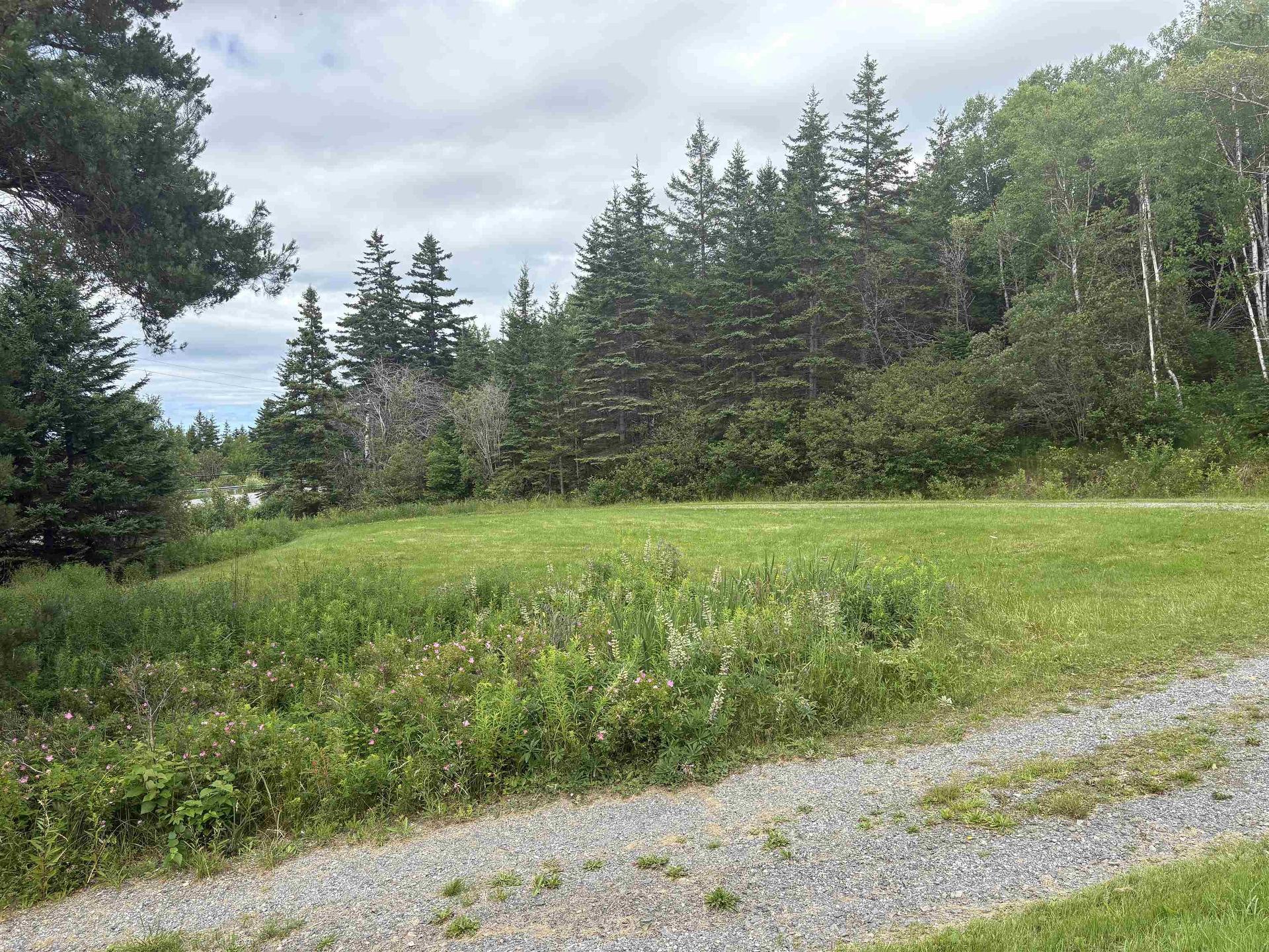 4367 Highway 105 Highway, South Haven, NS - Outdoor With View