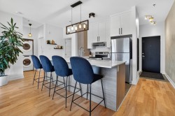 201-3430 Rue Masson Montréal (Rosemont/La Petite-Patrie), QC H1X 1R7