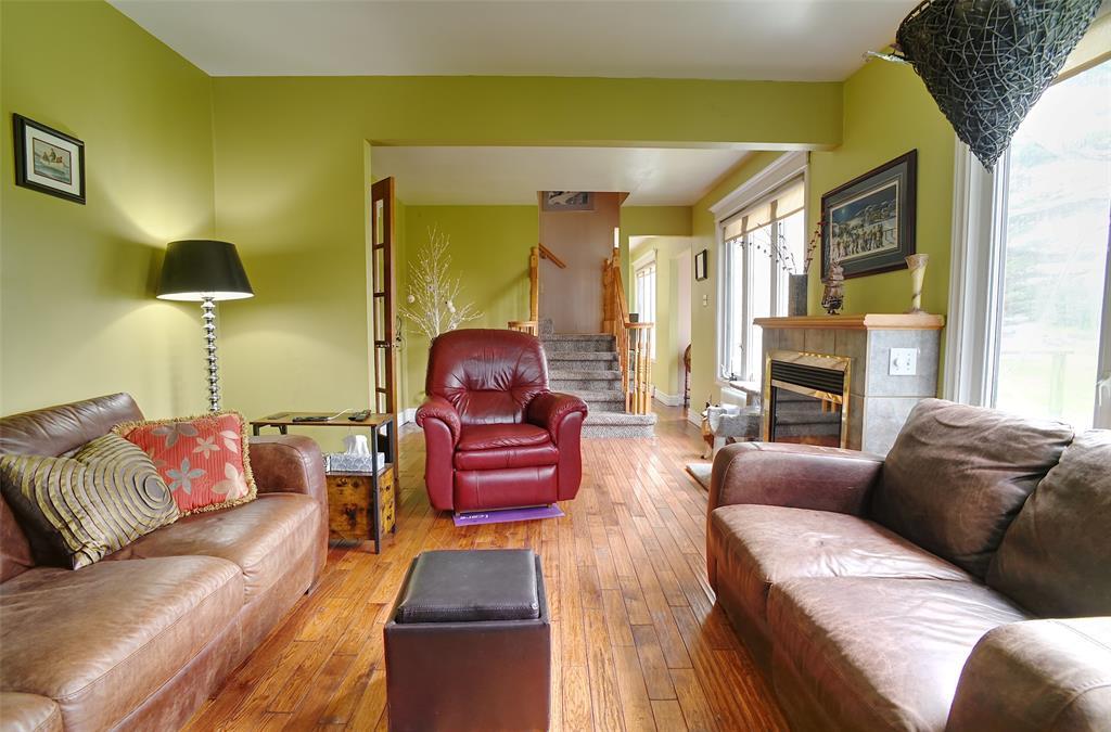 11 Downeys Lane, Colinet, NL - Indoor Photo Showing Living Room With Fireplace