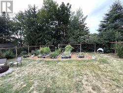 fenced yard and gardens - 