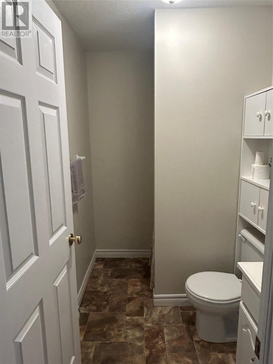 Bathroom in the Basement - 6 Marshall Crescent, Corner Brook, NL - Indoor Photo Showing Bathroom