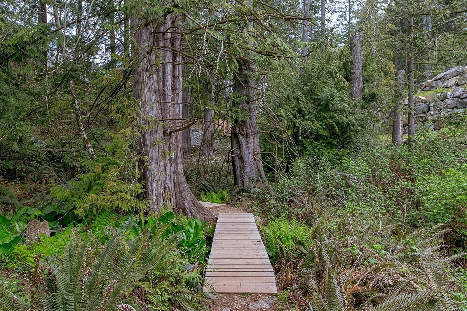 929 Step Moss Close, Langford, BC
