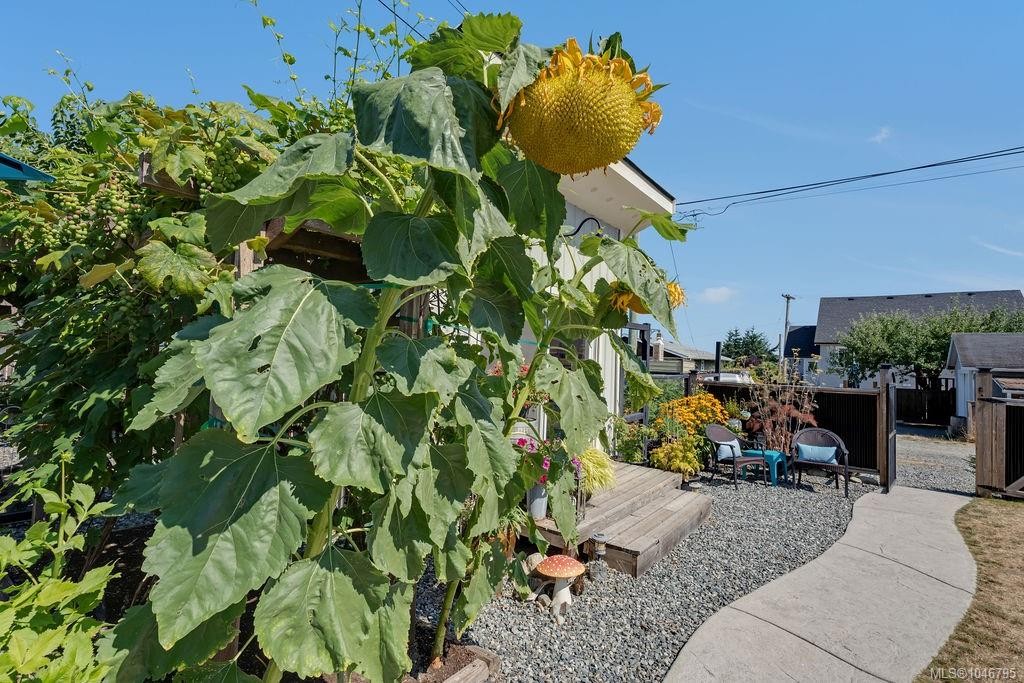 417 White St, Ladysmith, BC