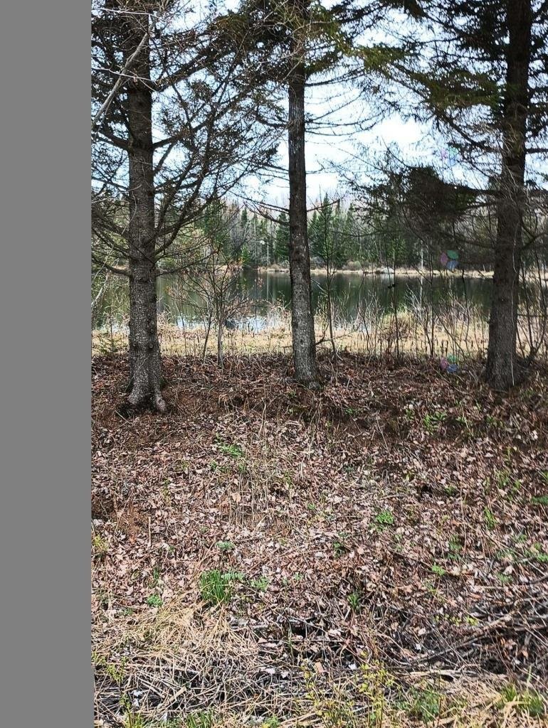 Vue - 611 Ch. St-Edmond, Saint-Barthélemy, QC - Outdoor With View