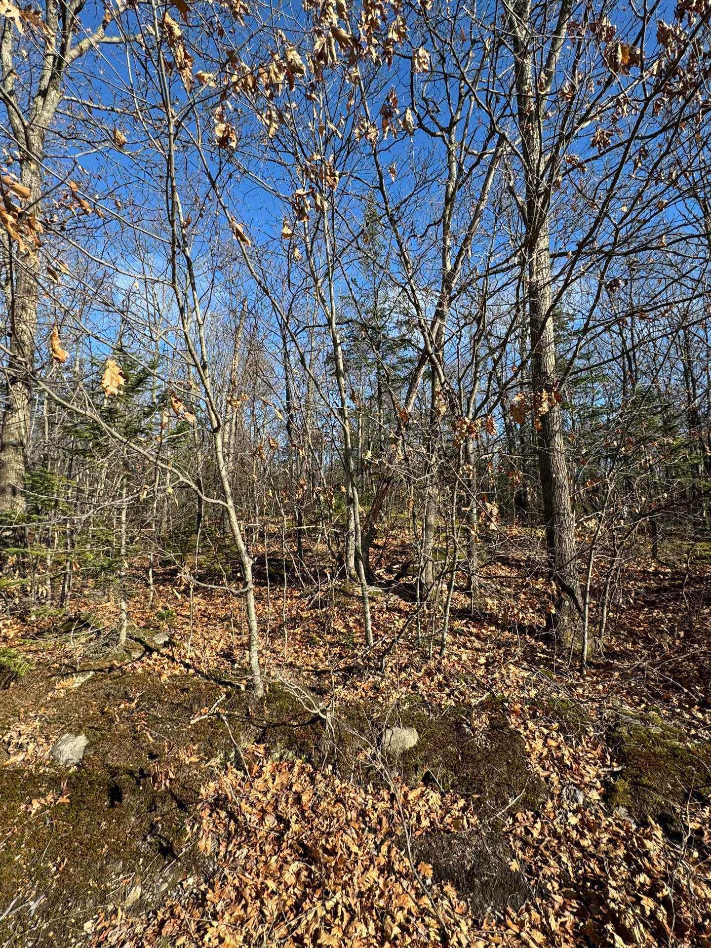 Vue d'ensemble - Mtée Mongeau, Saint-Calixte, QC