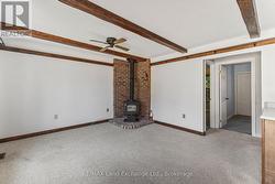 propane gas fireplace - 