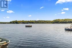 Beautiful Lake - 