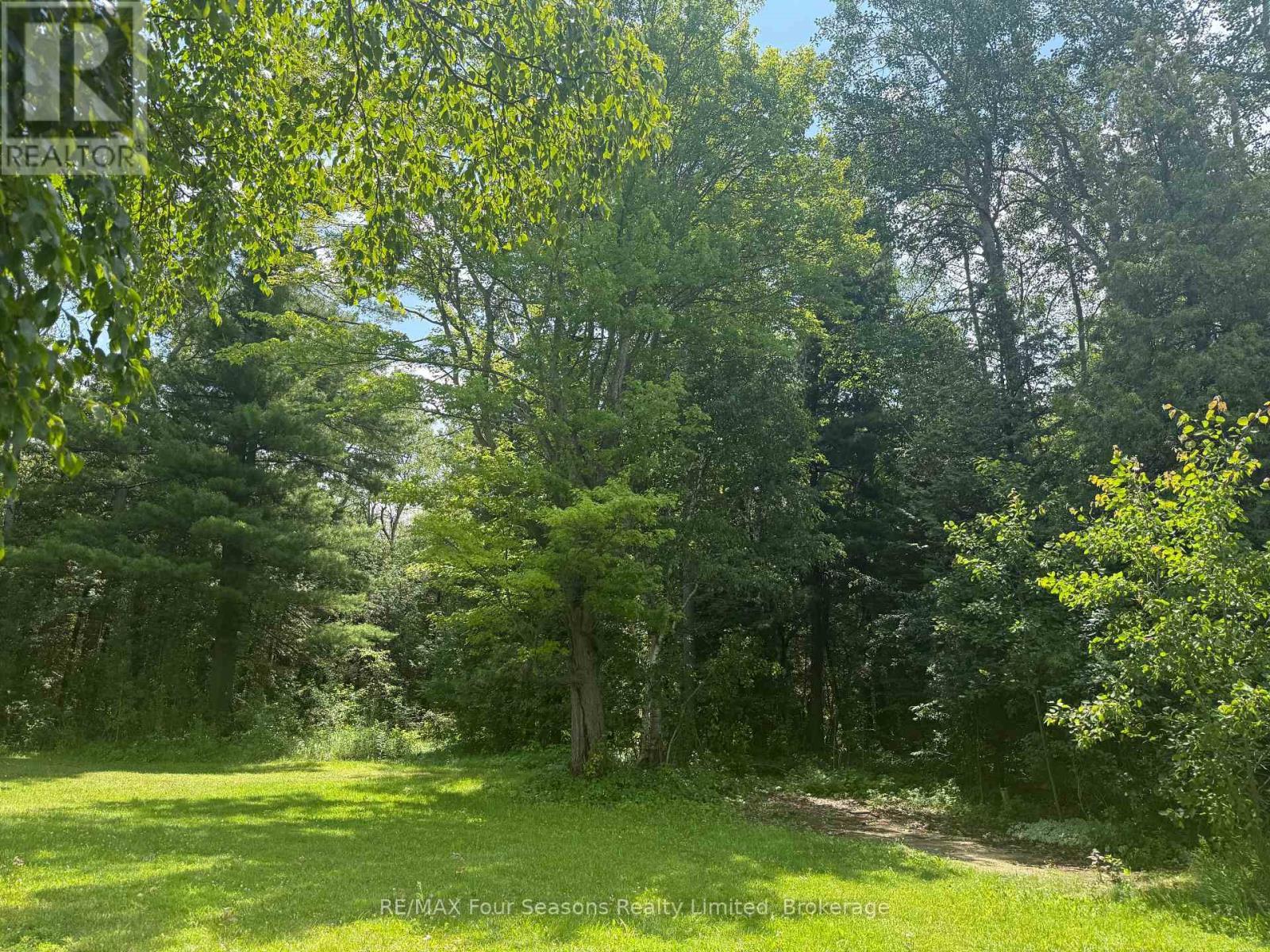 backyard - 7363 Sideroad 33 34 Road, Clearview, ON - Outdoor
